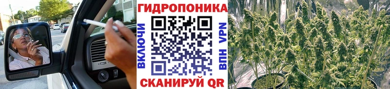 Конопля Amnesia Купить Данилов